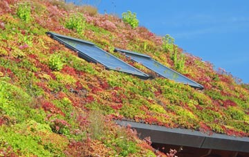 Easington living roof systems