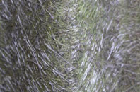 Easington fibreglass roof work